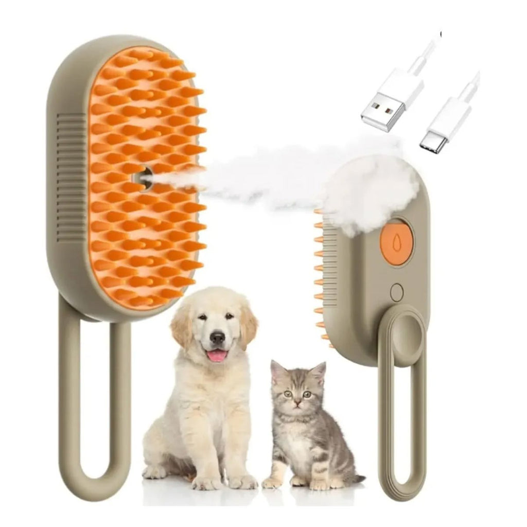 SteamCare Brush