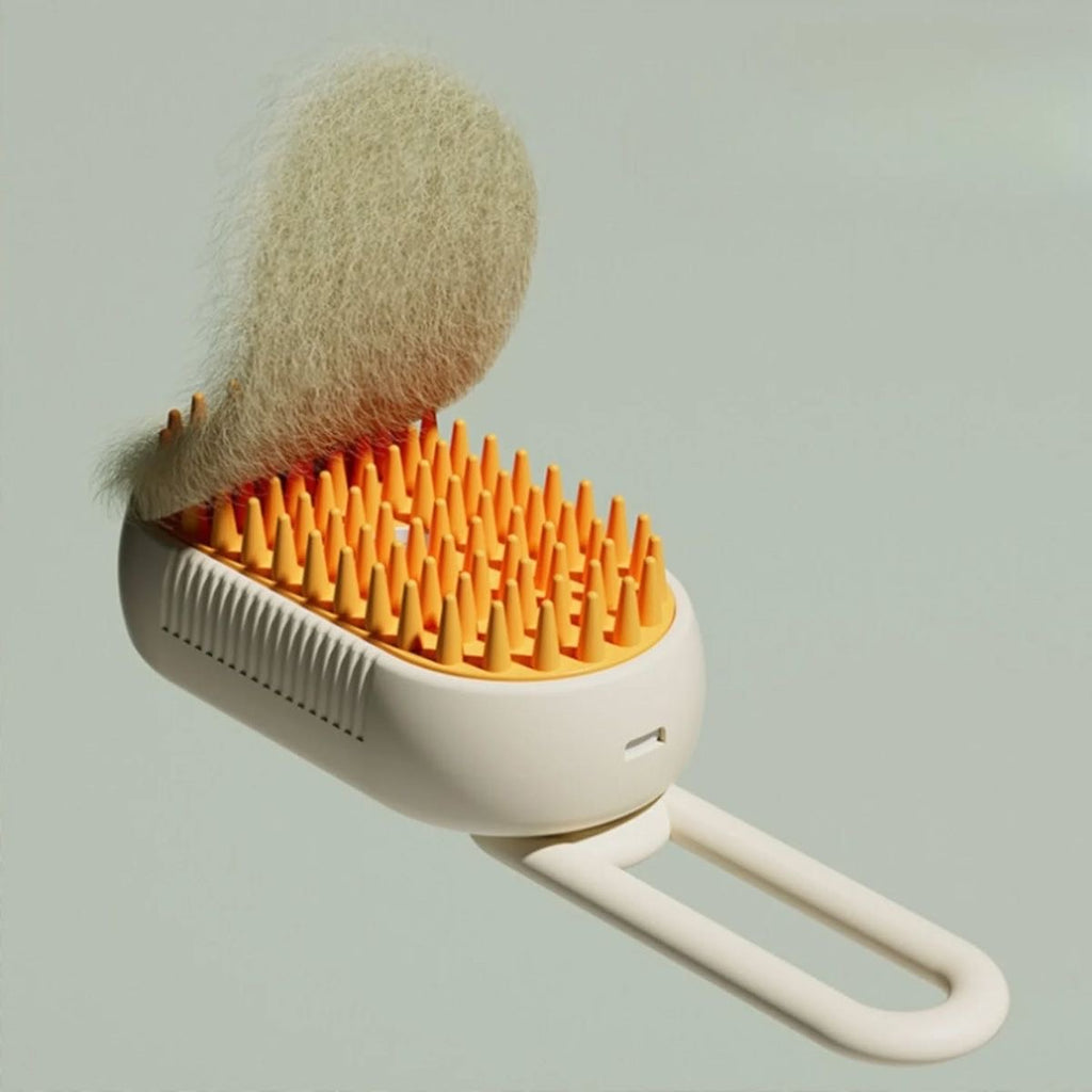 SteamCare Brush